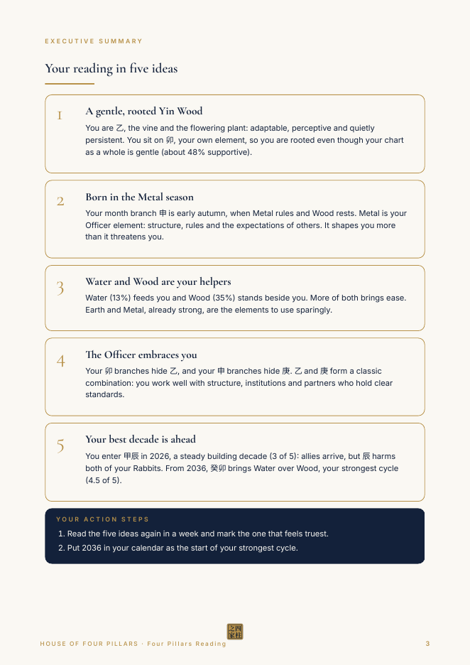Five ideas (fictional sample)